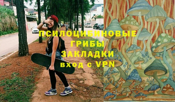 твердый Алексин