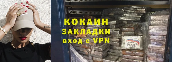 крисы Алзамай