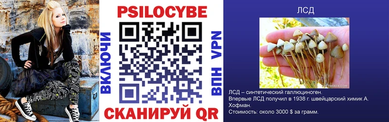 купить закладку  Ясный  Псилоцибиновые грибы Cubensis 